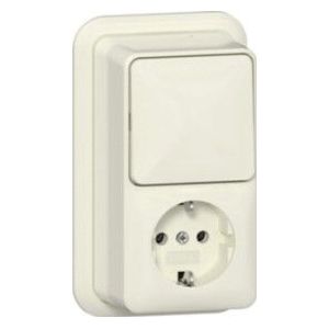 Gira Combinatie Wipschakelaar/Wandcontactdoos Met Randaarde - 16 A - 250 V