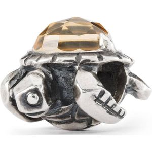 Trollbeads Kraal TAGBE-00299 Lang Leven