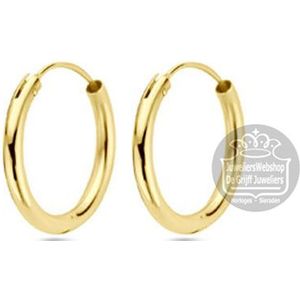 Gouden Creolen Buiscreolen rond 4013330