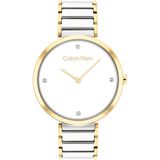 Calvin Klein horloge Minimalistic T bar CK25200134 Bicolor