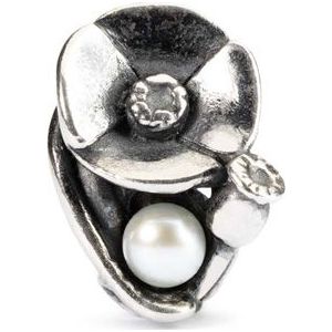 Trollbeads Kraal TAGBE-00034 Augustusklaproos