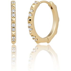 Sparkling Jewels Edge CZ Creolen Gold EAG31