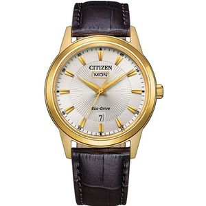 Citizen AW0102-13AE horloge Eco-Drive Goud