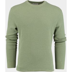 Michaelis Pullover Groen PMUJ10001D/Z1