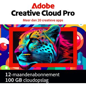 Adobe Creative Cloud Pro - 2 Installaties - 1 Jaar - 100 GB Cloud Opslag