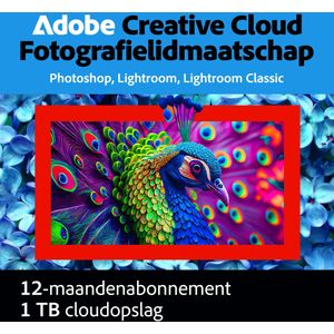 Adobe - Photography Plan - 1 Gebruiker - 1 Jaar - 1TB Cloudopslag