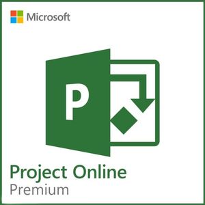Microsoft Project Professional 2019