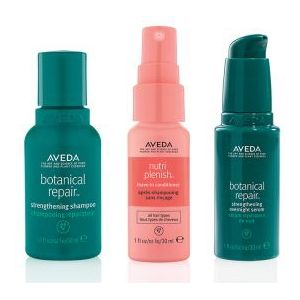 AVEDA Intense Repair Travelsize Set
