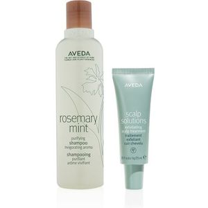 AVEDA Clean Scalp Set