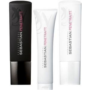 Sebastian Professional Penetraitt- set