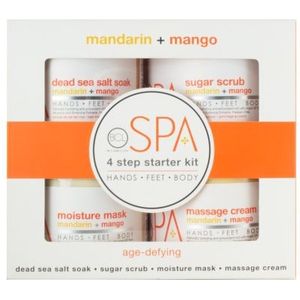 BCL SPA 4 Step Starter Kit Mandarin + Mango