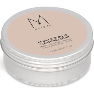 Brush & Sponge Cleansing Soap