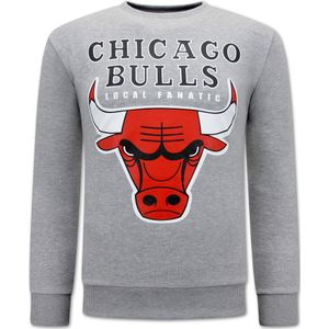 Chicago Bulls Heren Sweater - Grijs