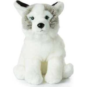 WWF Husky hond knuffel - 23 cm - 9
