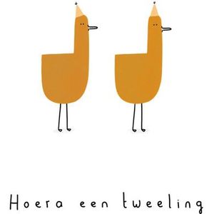 Klein Liefs Hoera een tweeling (2 lama's)