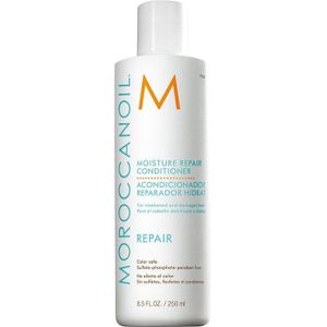 Moisture Repair Conditioner Beschadigd Haar 250 ml