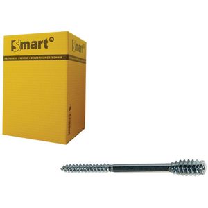 pgb-Europe SMART | Afstandschroef T-drive T25 Ø 6x300 Zn | 25 st SM0SSC0010603003
