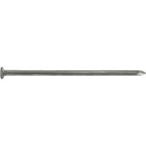 Connex Nagel Platte Kop 3.1X70 2.5Kg Fe - DH1013170