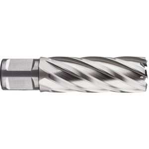 Rotec HSS Kernboor SILVER-LINE, weldon 19, ø51x55 - 536.5101W