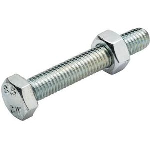 Homefix Tapbout Vz 8.8 Sw-19 + Moer M12X30 | 4 stuks - 6701.50.20170