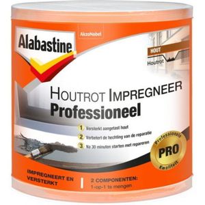 Alabastine Houtrotvuller Professioneel - 5314833 - 5314833