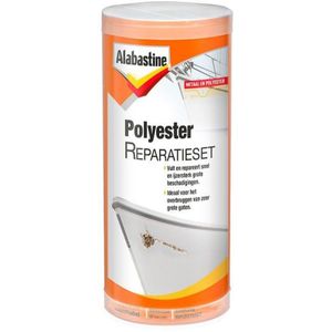 Alabastine Polyester Reparatie Set 250Gr - 5096081 - 5096081