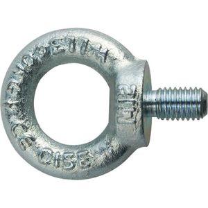 pgb-Europe PGB-FASTENERS | Oogbout C15E DIN 580 M27 Zn | 10 st 58000102703