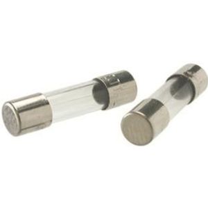Enzo Glaszekering traag 5x20 8A 4592037