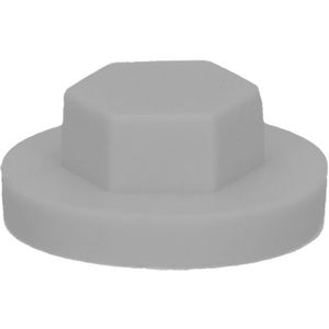 pgb-Europe PGB-FASTENERS | Afdekkap zeskant SW 3/8" (16mm) R9006 0AFD06N00001690065