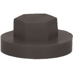 pgb-Europe PGB-FASTENERS | Afdekkap zeskant SW 3/8" (16mm) R8019 0AFD06N00001680195