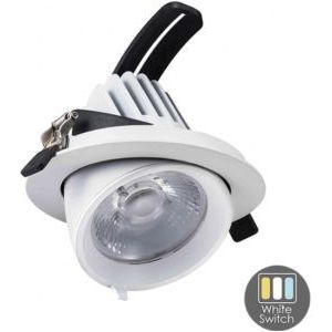 CCT LED downlighter wit 30W banaan model 45gr. Tri-White - LED2380