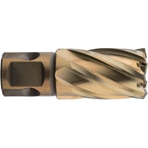 Rotec HSS-XE Kernboor GOLD-LINE, universeel 19, ø44x30 - 5374400