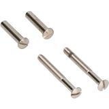 AMI - Patentbout Compleet M4*55 - Schroef - Verpakt Per 10 In Zakje