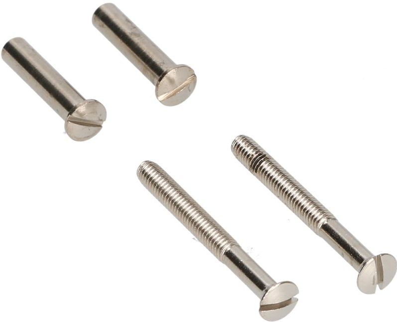 AMI - Patentbout Compleet M4*55 - Schroef - Verpakt Per 10 In Zakje