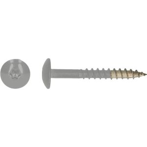 pgb-Europe PGB-FASTENERS | HPL schroef Tx20 4,8x38 R9006 A4 TRESP0A00038090063