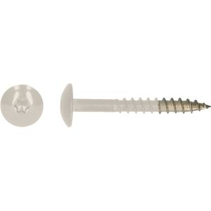 pgb-Europe PGB-FASTENERS | HPL schroef Tx20 4,8x32 R9001 A4 TRESP0A00032090013