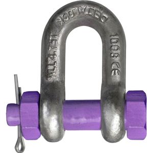 Delta D-sluiting met moerbout | volgens EN 13889 en U.S. Fed Spec | 25 ton - YE.EN04.025 YE.EN04.025