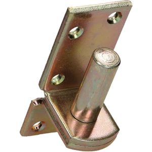 pgb-Europe FG | Plaatduim 18x40 ZnGeel FG02550021835305