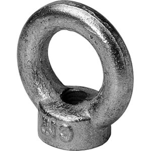 Steelies Ultimate oogmoer DIN 582 M 6 rvs A2 | 25 stuks - 9S600600001