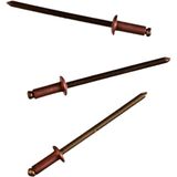 Connex - Sanieten - Klinknagels - Koper/Brons - Inhoud 50 Stuks