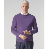 Dutch Dandies - Arno - Trui - Grape Jam - Ronde Hals