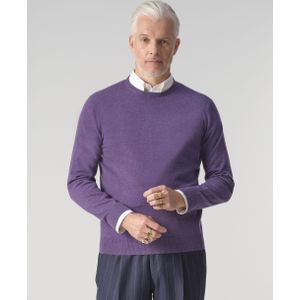 Dutch Dandies - Arno - Trui - Grape Jam - Ronde Hals