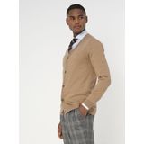 Dutch Dandies - Hemsworth - Vest - Gemêleerd Sandkleur - 100% Merinowol