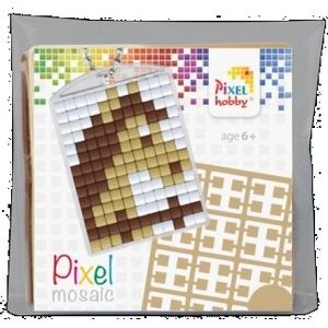 Pixelhobby - Startsetje medaillon - Paard