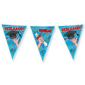 Paper Dreams - Party Flags - Vlaggenlijn - Geslaagd School Cartoon