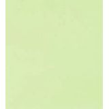 Papicolor enveloppen Lichtgroen - 110x220 mm 100 grams - 10 stuks