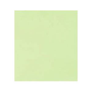 Papicolor enveloppen Lichtgroen - 110x220 mm 100 grams - 10 stuks