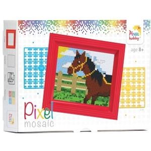 31250 Pixelhobby pakket - Paard