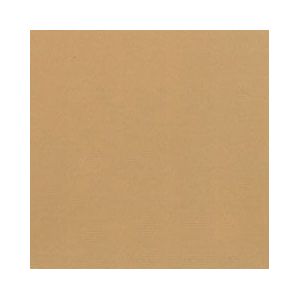 Papicolor Dubbele kaart bruin - vierkant - 10 stuks - 148x148 mm 170 grams