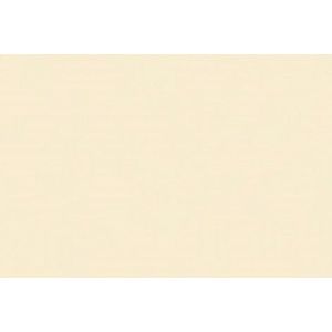 Folia Fotokarton beige 10 vellen van 50x70 cm en 300 grams